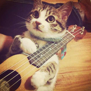 成人a片在线观看
